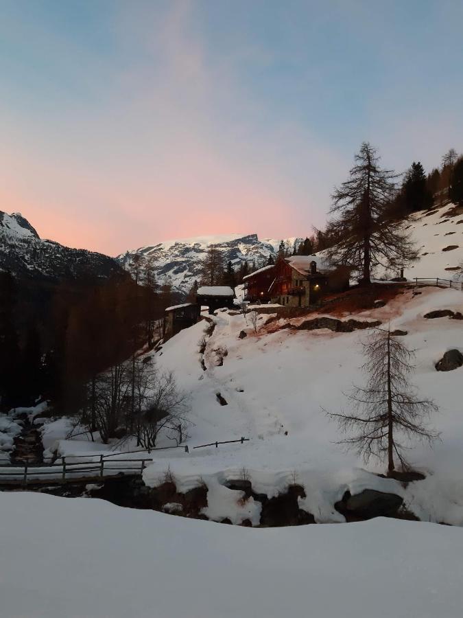 Piccola Residenza Apartment Champoluc Exterior foto